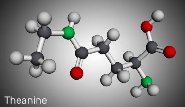 Theanine, anin molekülü. Nöroaktif etken, bitki metaboliti, yeşil çayda bulunur. Moleküler model. 3 boyutlu görüntüleme. Görüntü