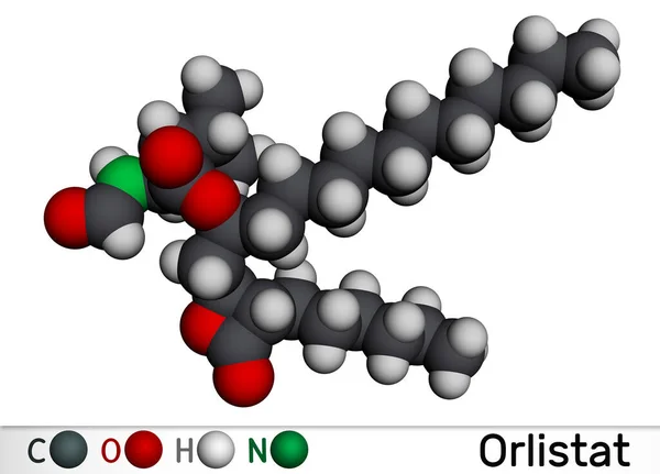 Orlistatmolekyl Det Lipashämmare Som Används Vid Behandling Fetma Molekylär Modell — Stockfoto