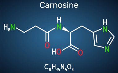Carnosine dipeptit molekülü. Antikonvülsan, antioksidan, antiineoplastik faktör, insan metaboliti. Koyu mavi arkaplanda yapısal kimyasal formül. Vektör illüstrasyonu