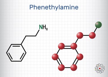 Fenetilamin, PEA molekülü. Monoamin alkaloit, insanlarda merkezi sinir sistemi uyarıcısı. Yapısal kimyasal formül, molekül modeli. Kafesteki bir kağıt parçası. Vektör illüstrasyonu