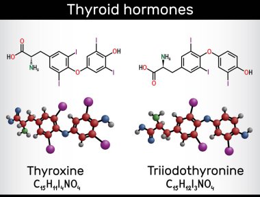 Tiroid hormonları: Triyodotironin (T3, levotiroksin) ve Thyroxine (T4) molekülü. Hipotiroidizmi tedavi etmek için kullanılır. Yapısal kimyasal formül, molekül modeli. Vektör illüstrasyonu