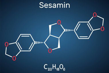 Susamin molekülü. Bu doğal bir ürün. Lingnan, susam yağından izole edilmiş. Koyu mavi arka planda yapısal kimyasal madde var. Vektör illüstrasyonu