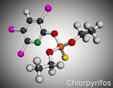 Chlorpyrifos, CPS molecule. It is organophosphate neurotoxicant, used as pesticide. Molecular model. 3D rendering. Illustration clipart
