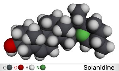 Solanidine molecule. It is poisonous steroidal alkaloid, plant metabolite, toxin. Molecular model. 3D rendering. Illustration