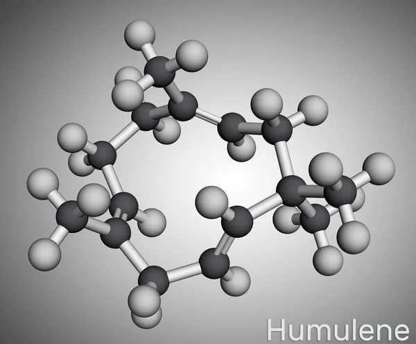 Humulene, -humulene or -caryophyllene molecule. It is component of the essential oil from flowering cone of hops plant. Molecular model. 3D rendering. Illustration