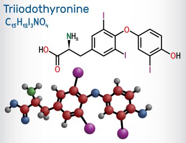 Triyodotironin, T3, liyotironin molekülü. Tiroid hormonu, hipotiroidizmi tedavi etmek için kullanılan hipofiz bezi hormonu. Yapısal kimyasal formül, molekül modeli. Vektör illüstrasyonu
