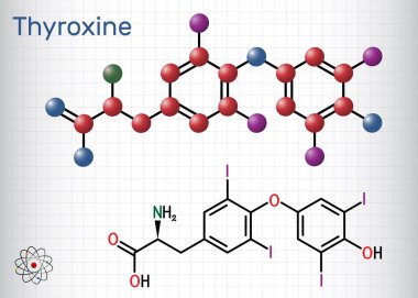 Tiroksin, T4, levotiroksin molekülü. Tiroid hormonu. Tirodin T3 'ün prohormonu. Hipotiroidizmi tedavi etmek için kullanılır. Yapısal kimyasal formül, molekül modeli. Kafesteki bir kağıt parçası. Vektör illüstrasyonu