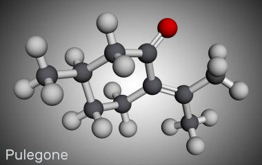 Pulegone molekülü. Gerekli yağların doğal bileşenidir. Moleküler model. 3 boyutlu görüntüleme. Görüntü