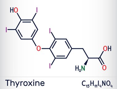 Tiroksin, T4, levotiroksin molekülü. Tiroid hormonu. Tirodin T3 'ün prohormonu. Hipotiroidizmi tedavi etmek için kullanılır. İskelet kimyasal formül vektör illüstrasyon.
