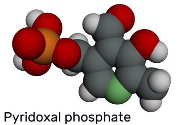 Pyridoksal fosfat, PLP molekülü. B6 vitamini ve koenzimin aktif halidir. Moleküler model. 3 boyutlu görüntüleme. Görüntü