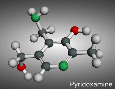 Pyridokamin molekülü. Bir tür B6 vitamini. Moleküler model. 3 boyutlu görüntüleme. Görüntü