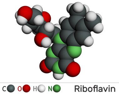 Riboflavin, B2 vitamini molekülü. Besin takviyesi olarak kullanılan besinlerde bulunan, suda çözünen bir flavin. Moleküler model. 3 boyutlu görüntüleme. Görüntü