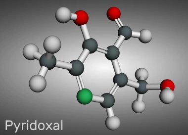 Pyridoksal molekül. Bir tür B6 vitamini. Moleküler model. 3 boyutlu görüntüleme. Görüntü