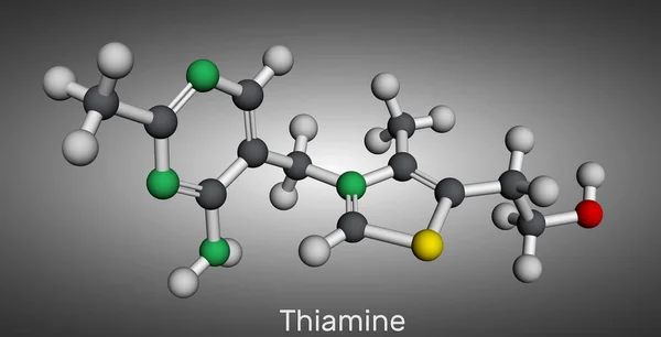 Thiamin Das Molekül Vitamin Gefunden Lebensmitteln Die Als Nahrungsergänzungsmittel Und — Stockfoto