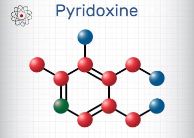 Pyridoksin molekülü. Bir tür B6 vitamini. Molekül modeli. Kafesteki bir kağıt parçası. Vektör illüstrasyonu