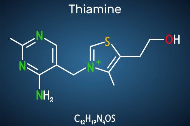 Tiamin, B1 vitamini molekülü. Yiyeceklerde bulundu, diyet takviyesi ve ilaç olarak kullanıldı. Koyu mavi arkaplanda yapısal kimyasal formül. Vektör illüstrasyonu