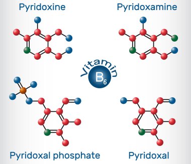 B6 vitamini: pyridoxal, pyridoxal fosfat, pyridoxine, pyridoxamine molekülü. Molekül modeli. Vektör illüstrasyonu