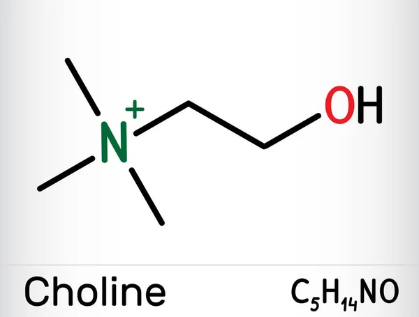 Choline Vitamine Comme Molécule Nutritive Essentielle Est Vitamine Formule Chimique — Image vectorielle