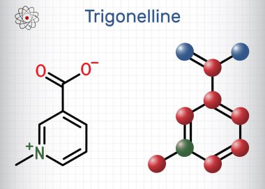 Trigonelline bitki alkaloit molekülü. Niasin vitamini B3 'ün metilasyon ürünü, metillenmiş niasin. Yapısal kimyasal formül, molekül modeli. Kafesteki bir kağıt parçası. Vektör illüstrasyonu