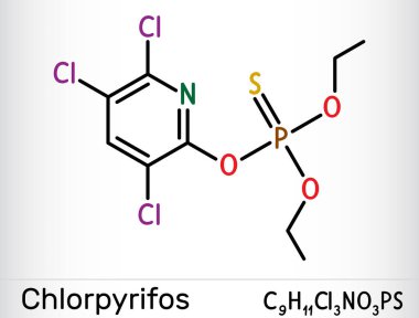 Chlorpyrifos, CPS molekülü. Böcek ilacı olarak kullanılan organofosfat nörotoksit. İskelet kimyasal formülü. Vektör illüstrasyonu