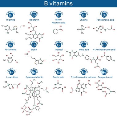 Vitamins of B group molecule. Thiamine, riboflavin, niacin, nicotinic acid, choline, pyridoxine, biotin, inositol, folic acid, PABA, L-carnitine, cyanocobalamin, orotic acid, PQQ, pangamic acid. Skeletal chemical formulas. Vector illustration clipart