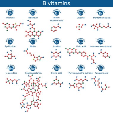 B grubu molekülünün vitaminleri. Thiamin, riboflavin, niasin, nikotin asit, kolin, piridoksin, biyotin, inositol, folik asit, PABA, L-carnitine, siyanokobalamin, orotik asit, PQQ, pangamik asit. Moleküler model. Vektör illüstrasyonu