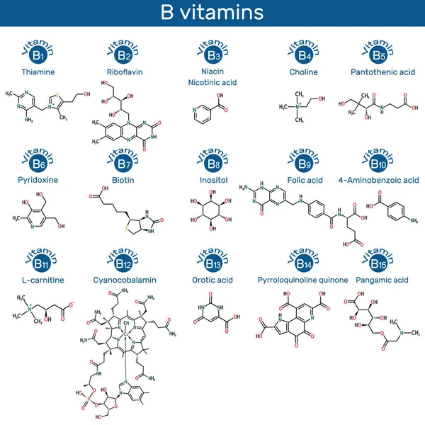 B grubu molekülünün vitaminleri. Thiamin, riboflavin, niasin, nikotin asit, kolin, piridoksin, biyotin, inositol, folik asit, PABA, L-carnitine, siyanokobalamin, orotik asit, PQQ, pangamik asit. İskelet kimyasal formüller. Vektör illüstrasyonu