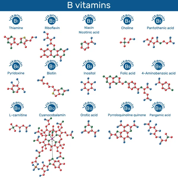 stock vector Vitamins of B group molecule. Thiamine, riboflavin, niacin, nicotinic acid, choline, pyridoxine, biotin, inositol, folic acid, PABA, L-carnitine, cyanocobalamin, orotic acid, PQQ, pangamic acid. Molecular model. Vector illustration