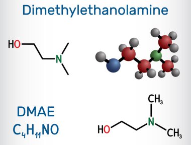 Dimethylethanolamine, dimethylaminoetanol, DMAE, DMEA molekülü. Üçüncül amine, iyileştirici madde ve radikal bir leş yiyici. Yapısal kimyasal formül, molekül modeli. Vektör illüstrasyonu