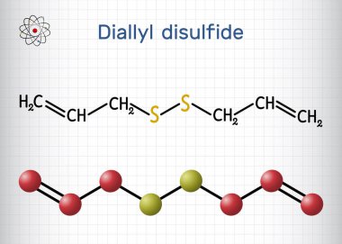 Çevrilmemiş altyazı - Çevrilmemiş altyazı - Sarımsak ve Allium cinsinin diğer türlerinde bulunan organik disülfür. Yapısal kimyasal formül, molekül modeli. Kafesteki bir kağıt parçası. Vektör illüstrasyonu