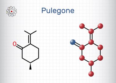 Pulegone molekülü. Gerekli yağların doğal bileşenidir. Yapısal kimyasal formül ve molekül modeli. Kafesteki bir kağıt parçası. Vektör illüstrasyonu