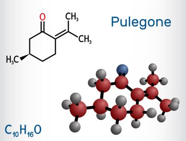 Pulegone molekülü. Gerekli yağların doğal bileşenidir. Yapısal kimyasal formül ve molekül modeli. Vektör illüstrasyonu