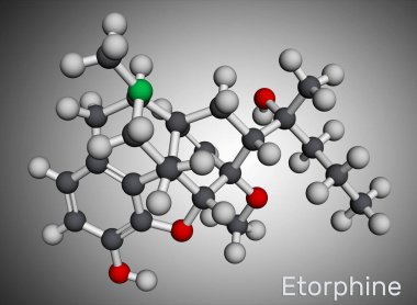 Etorfin, M99 molekülü. Morfin alkaloit, opioid analjezik, sadece veterinerlik için sakinleştirici. Moleküler model. 3 boyutlu görüntüleme. Görüntü
