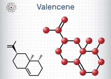 Valencene molekülü. Karbobisiklik bileşik, sesquiterpene, narenciye aroması. Yapısal kimyasal formül, molekül modeli. Kafesteki bir kağıt parçası. Vektör illüstrasyonu