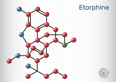 Etorfin, M99 molekülü. Morfin alkaloit, opioid analjezik, sadece veterinerlik için sakinleştirici. Yapısal kimyasal formül, molekül modeli. Kafesteki bir kağıt parçası. Vektör illüstrasyonu