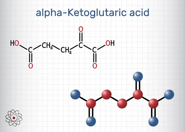 stock vector Alpha-ketoglutaric acid, 2-oxoglutaric acid, oxoglutarate, alpha ketoglutarate  molecule. It is intermediate metabolite in Krebs cycle. Sheet of paper in a cage. Structural chemical formula, molecule model. Vector illustration