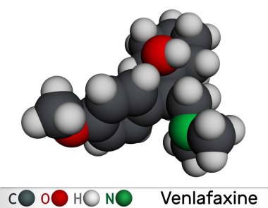 Venlafaxine antidepresan ilaç molekülü. Büyük bir depresyon tedavisinde kullanılır. Moleküler model. 3 boyutlu görüntüleme. Görüntü