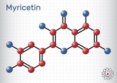 Myricetin molekülü. Doğal ürün, flavonoid. Yapısal kimyasal formül ve molekül modeli. Kafesteki bir kağıt parçası. Vektör illüstrasyonu