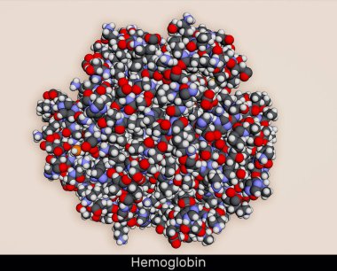 Hemoglobin haemoglobin, Hb or Hgb molecule. It is blood protein. Molecular model. 3D rendering. Illustration clipart