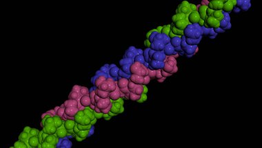 Kolajen protein molekülü. Moleküler model. 3 boyutlu görüntüleme. Görüntü