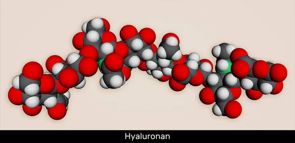 stock image Hyaluronan, hyaluronic acid, HA, hyaluronate molecule, short fragment. Molecular model. 3D rendering. Illustration