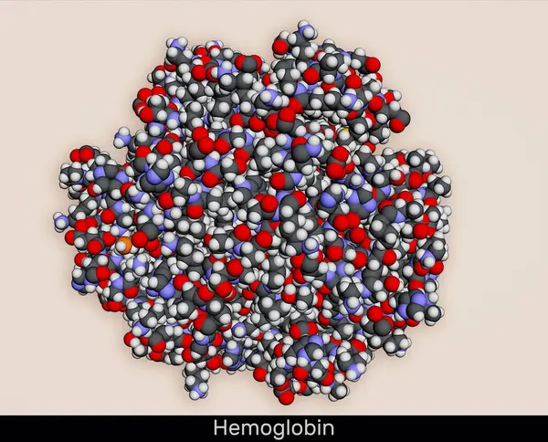 Hemoglobin Eller Hgb Molekyl Det Blodprotein Molekylär Modell Återgivning Illustration — Stockfoto
