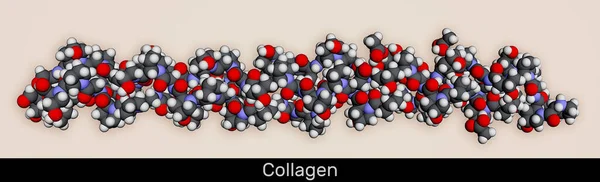 Kollagenproteinmolekyl Molekylär Modell Återgivning Illustration — Stockfoto