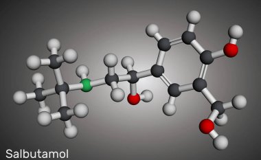 Salbutamol, albuterol molekülü. Astım ve KOAH tedavisinde kullanılan kısa süreli agonist. Moleküler model. 3 boyutlu görüntüleme. Görüntü