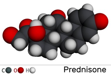 Prednisone molecule. Synthetic anti-inflammatory glucocorticoid derived from cortisone. Molecular model. 3D rendering. Illustration clipart