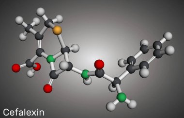 Cefalexin, sefaleksin molekülü. Bakteriyel aktivitesi olan bir beta-laktam antibiyotiği. Moleküler model. 3 boyutlu görüntüleme. Görüntü