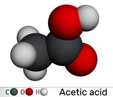 Asetik asit, etanoik asit, CH3COOH molekülü. Moleküler model. 3 boyutlu görüntüleme. Görüntü