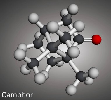 Kafur molekülü. Terpenoid ve döngüsel bir keton. Moleküler model. 3 boyutlu görüntüleme. Görüntü