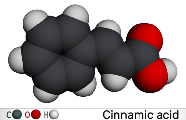 Sinamik asit molekülü. Moleküler model. 3 boyutlu görüntüleme. Görüntü