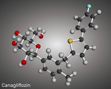 Canagliflozin molekülü. Antidiyabetik ilaç, SGLT2 inhibitörü. Moleküler model. 3 boyutlu görüntüleme. Görüntü